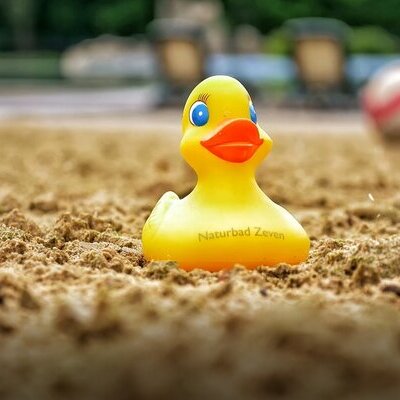 Naturbad Ente